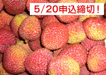���ѻ��饤��