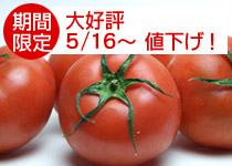  ������٥ȥޥȢ��Ų��� ���᡼��ȥޥ�