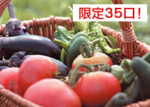 �դ���ޥե�����  �ʣ���ͭ�����