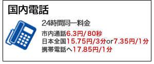 固定から国内通話