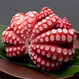 ⡼꥿˥ܥ륿<br>ּ奿