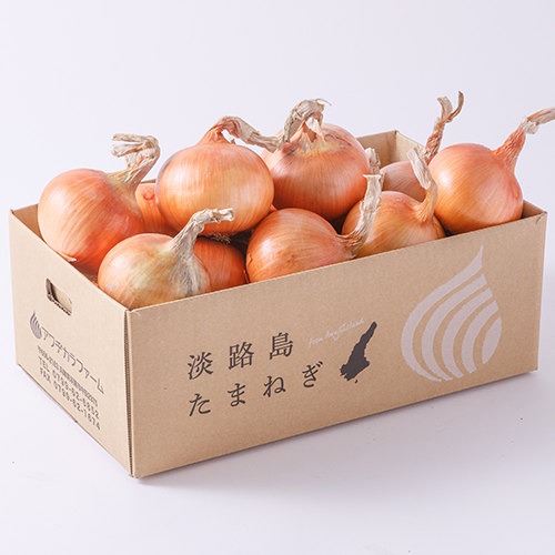 商品説明