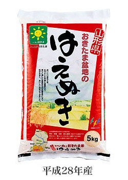 JA山形おきたま 平成28年産山形県おきたま盆地のはえぬき お米 | G 