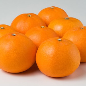  清見オレンジ