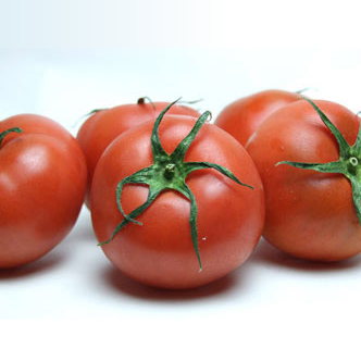  ≪高糖度トマト≫アメーラトマト