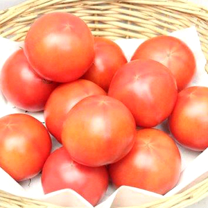 静岡県産フルーツトマト<br>石山農園「幻のトマト」