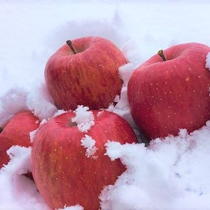 青森県産 雪貯蔵りんご