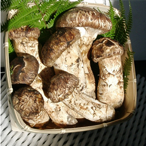 300g(4-7)