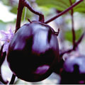 �ܾ� ���Ծ���л������вػ�