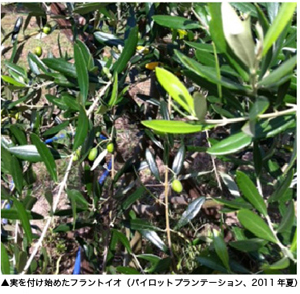 屋号説明