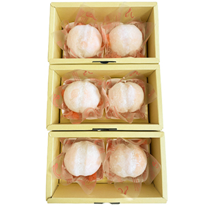 2������3Ȣ