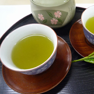 静岡茶 有機緑茶ティーパック