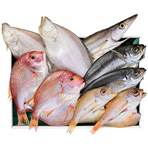 �л�(�դ���)