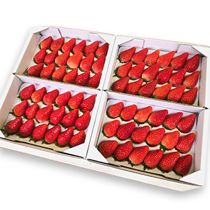 ��4��ȯ��ͽ���18γ��4�ѥå�