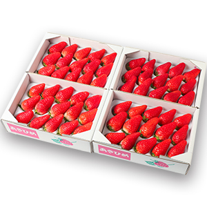 ��4��ȯ��ͽ���15γ��4�ѥå�