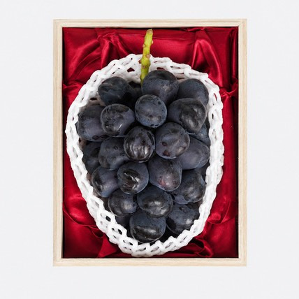 ���Ȣ���ٻΤε������� 1˼ 750g�ʾ�
