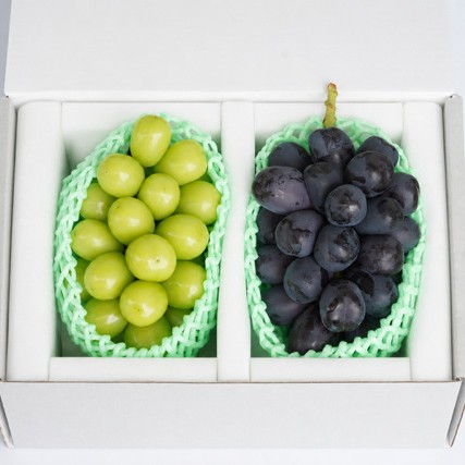 ���Ȣ�䥷�㥤��ޥ����åȡ��ٻΤε������� ��1˼ ����1.2kg