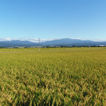 屋号説明