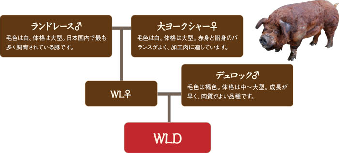 屋号説明