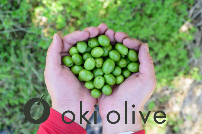 澳オリーブ　oki olive