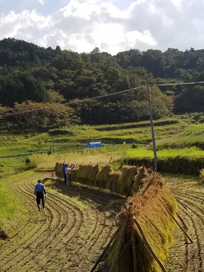 屋号説明