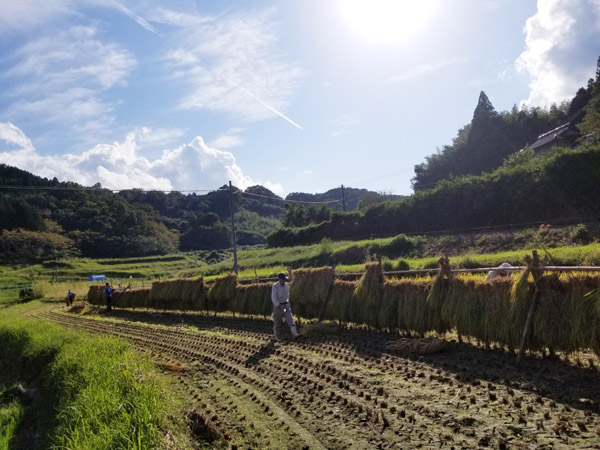屋号説明