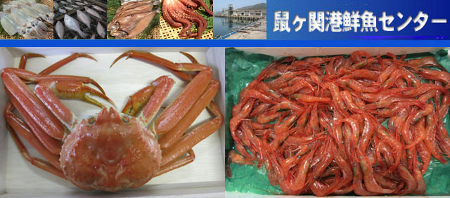 鼠ヶ関（ねずがせき）港鮮魚センター GCallショッピング
