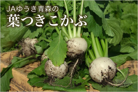 屋号説明