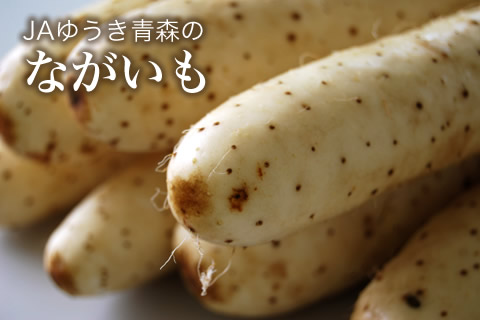 屋号説明
