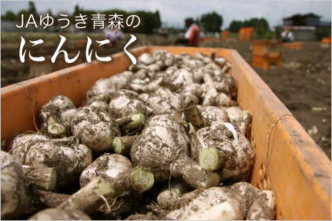 屋号説明
