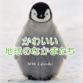 ナショジオカレンダー
2010年版
世界にひとつの風景
かわいい地球のなかまたち