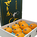 愛媛産高級みかん「せとか」