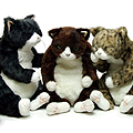 CuddlyΤ̤
<br>䳫Ϥޤ