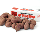 硡̴ɴ̪