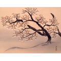 無料招待
「【特別展】桜・さくら・SAKURA 2012―美術館でお花見!―」
