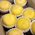 θȡʤؤ˻ 
<br>ںʸö    