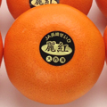 長崎産 麗紅(れいこう)