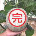 ǯ1Υ󥹡
<br>㥸㥤