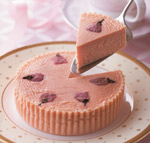 ≪ローストビーフの店 鎌倉山≫
さくらのチーズケーキ
