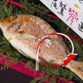 Ǥ侦
