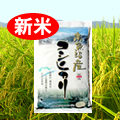 㿷Ƣ»ҥ