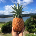 饬ॴɥХ