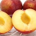ۥץ