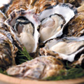 ͽ󳫻Ϥޤ
<br>ƣܿ졡Ū𤫤