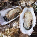 Ĺ 
<br>䤬