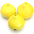 ե˥