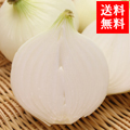 餿ޤ