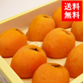 Ƥβʪ˼Ӥ