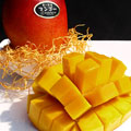  ƣ̼ 
<br>ֻȤҤޥ󥴡