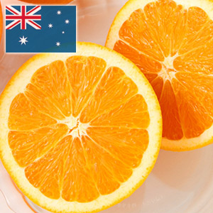 オーストラリア産<br>ネーブルオレンジ